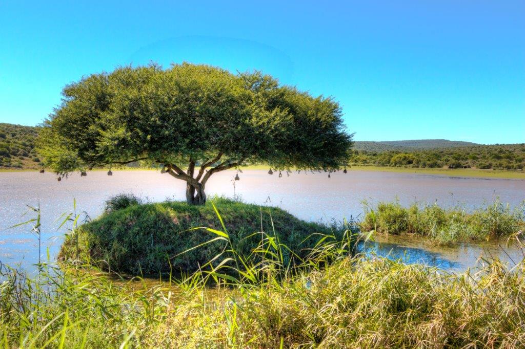 Great Fish River - Visit Eastern Cape